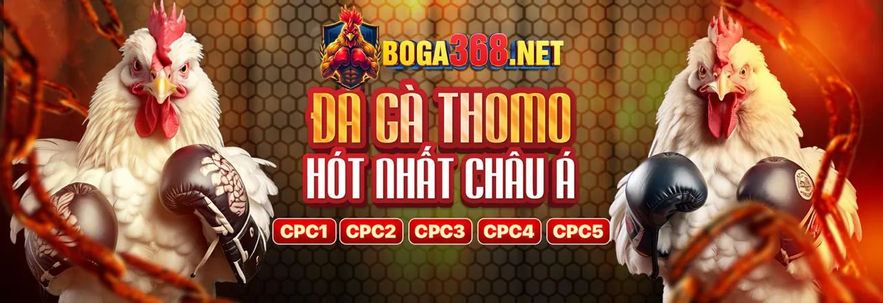Đá gà trực tuyến đỉnh cao tại ACB888