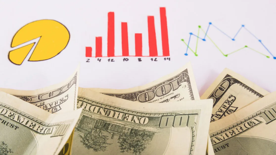 Hình ảnh một chú gà chiến đang được phân tích kỹ lưỡng, tượng trưng cho việc đánh giá chiến kê trước khi đặt cược.